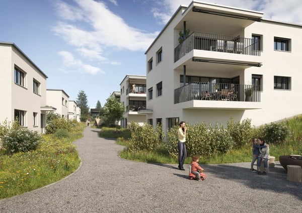 ROOTS Root: Wurzeln für Ihr neues Zuhause. 8
