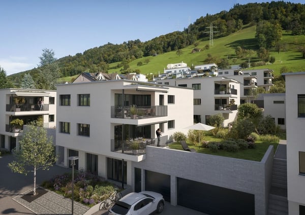 ROOTS Root: Wurzeln für Ihr neues Zuhause. 7