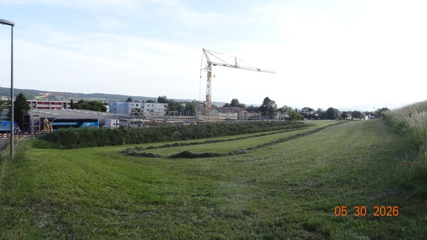 Gewerbeland mit Potenzial an Toplage in Langendorf 4