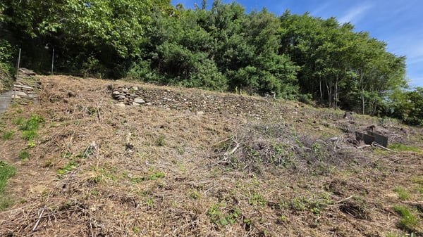 Dove il sogno incontra il lago. | Wo der Traum auf den See trifft. 5