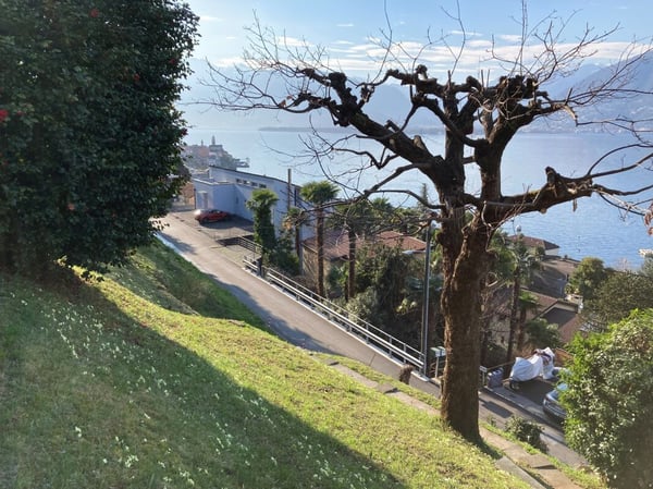 Terreno Edificabile a Magadino con vista lago - Grundstück mit Seesicht | Gambarogno Magadino Grundstück mit Seesicht 4