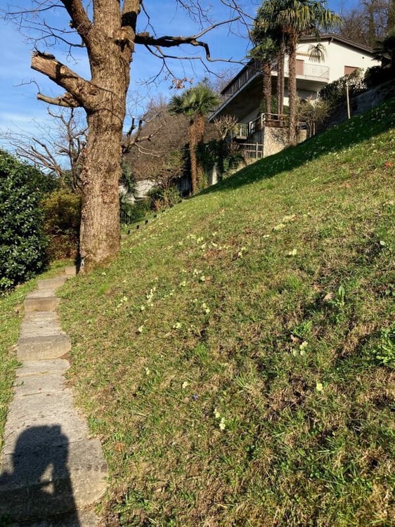 Terreno Edificabile a Magadino con vista lago - Grundstück mit Seesicht | Gambarogno Magadino Grundstück mit Seesicht 8