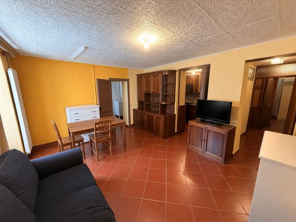 Charming Multi-Family Property with 3 Residential Units in the Heart of Melano 2