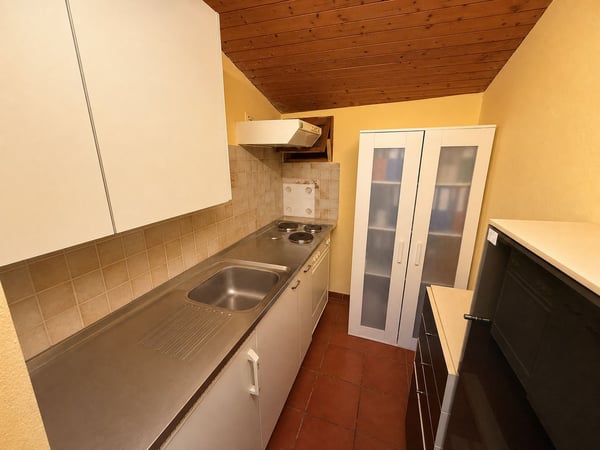 Charming Multi-Family Property with 3 Residential Units in the Heart of Melano 13