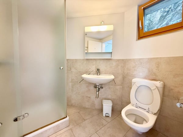 Zweifamilienhaus mit 5.5-Zimmer-Wohnung + 2-Zimmer-Wohnung, grossem Privatgrundstück, 4 Parkplätzen und Solarpanels 17