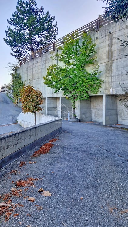 OPPORTUNITÉ RARE: PARKING COUVERT AU CENTRE DE VEYSONNAZ 8