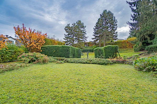 Historisches MFH mit 3 Einheiten und privatem Seepark mit EFH in Richterswil 6