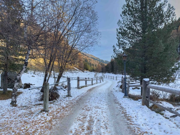 Projekt Chesa Alvetern - 1.5-Zimmer DG-Neubau-Ferienwohnung in S-charl 5