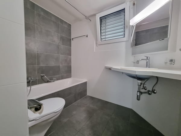 Genève 72 - 1.5 pièces, rez 9