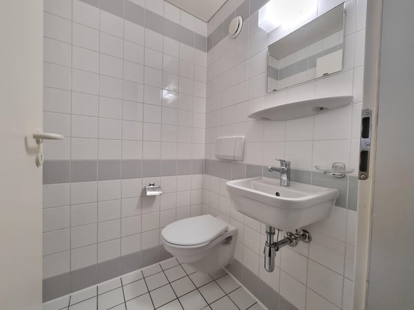 Genève 72 - 1.5 pièces, rez 12