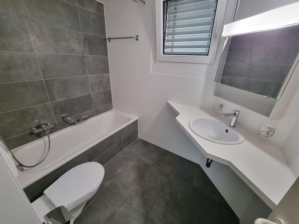 Genève 72 - 1.5 pièces, rez 10