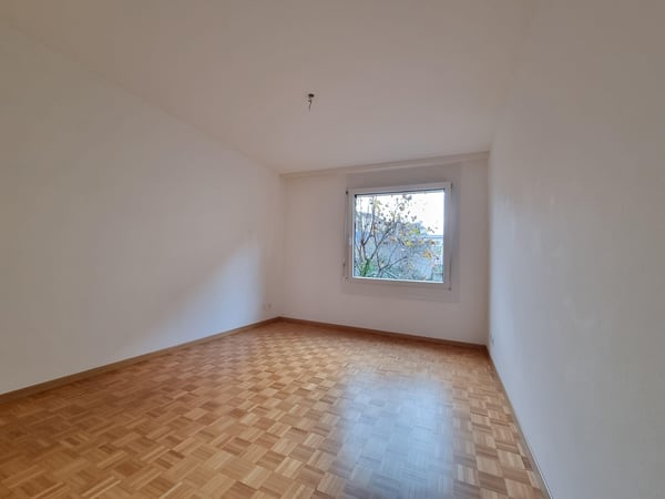 Genève 72 - 1.5 pièces, rez 8