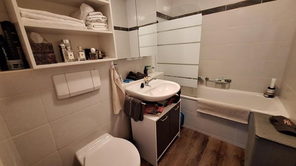 Logement avec vue sur le lac 2