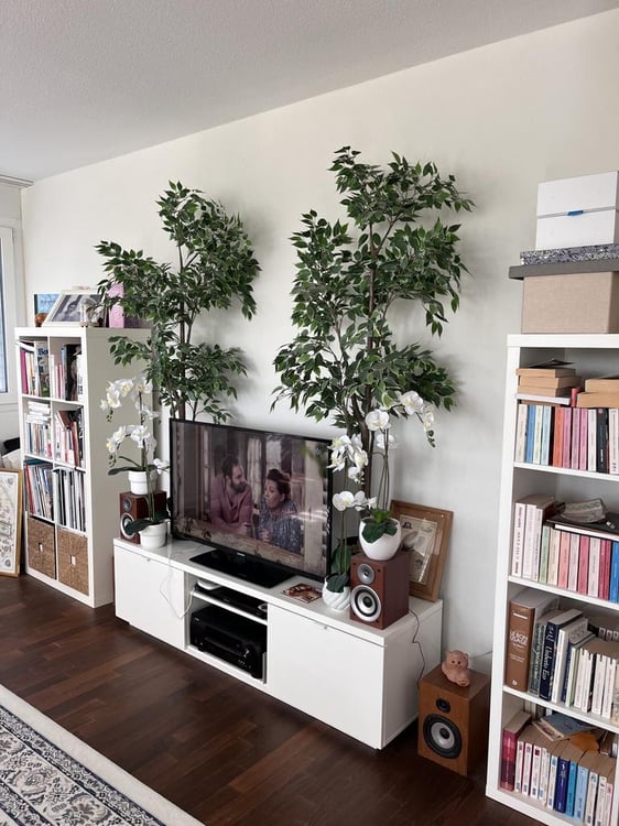 Charmant appartement à Morges 4