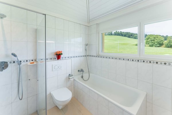 Modernes 1.5-Zimmer-Einfamilienhaus in ruhiger Lage von Schönengrund 20