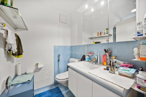 Ihr Rückzugsort im Grünen - Eigentumswohnung in Ellikon an der Thur 8