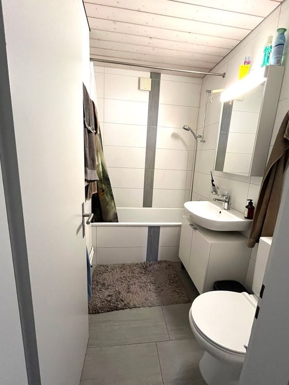 Wohnung mit Elektroladestation 4.5-Zimmer-Wohnung mit grosser Terrasse 11
