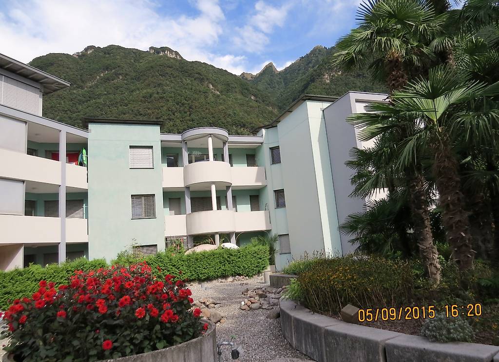 Modern apartment building, multiple floors, balconies, surrounded by greenery, mountain view