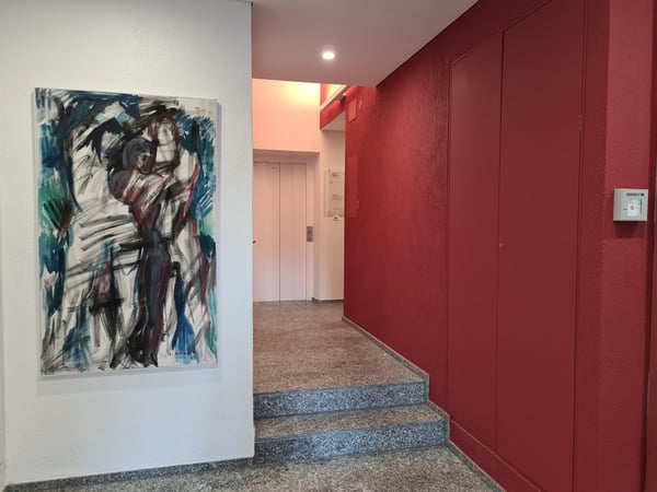 Affascinante 1.5 locali ristrutturato nel cuore di Bellinzona 3