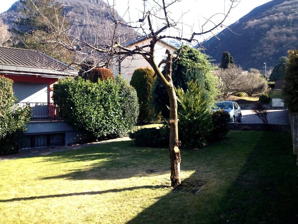 Casa unifamiliare con ampio terreno ad Arbedo-Castione 1