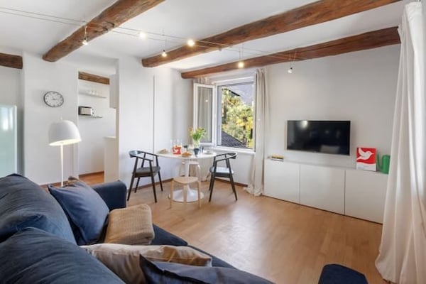 Cercasi subentrante per mansarda arredata ad Ascona 2