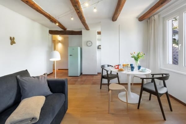 Cercasi subentrante per mansarda arredata ad Ascona 8