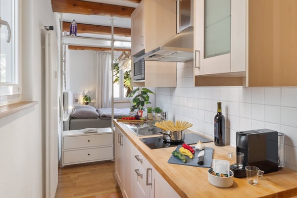 Monolocale arredato ad Ascona - disponibile da subito 3