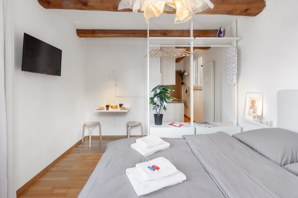 Monolocale arredato ad Ascona - disponibile da subito 11