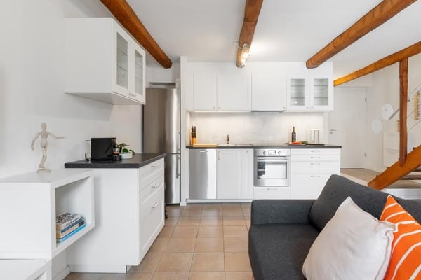 1 locali Duplex arredato in Via San Gottardo a Bellinzona 4