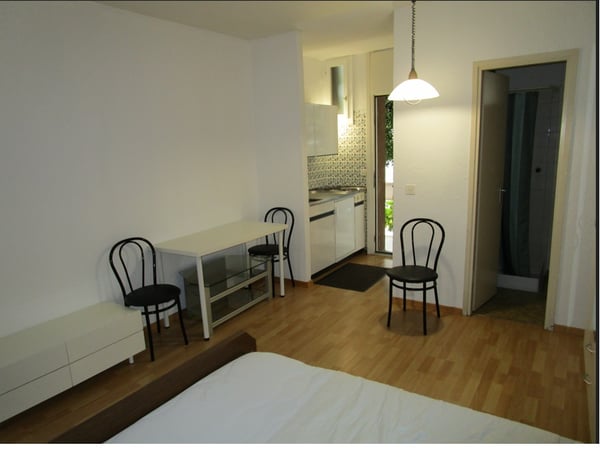 Accogliente appartamento ammobiliato di 1.5 locali nel cuore di Locarno 2