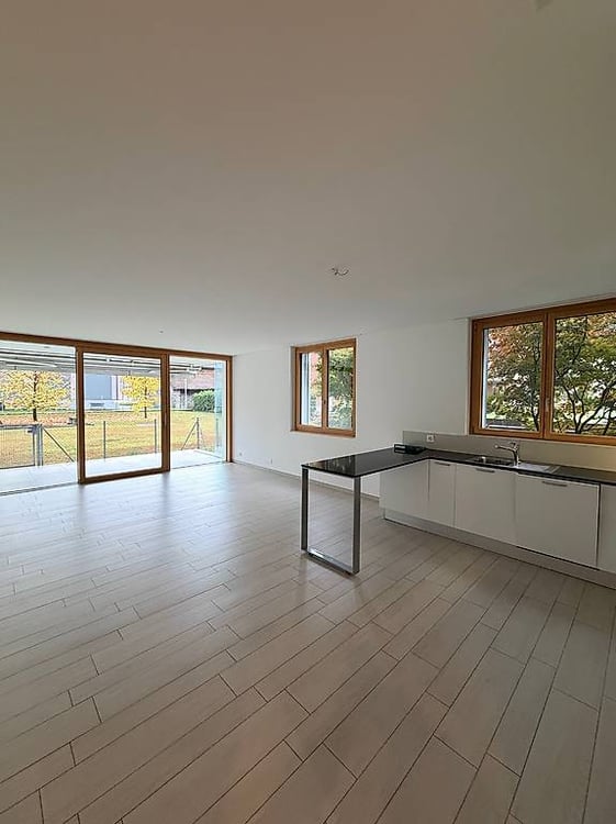 Affittasi appartamento 1.5 locali - CasaEco, Bellinzona 1