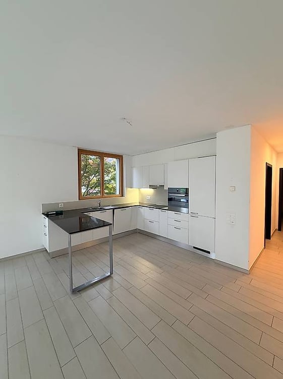 Affittasi appartamento 1.5 locali - CasaEco, Bellinzona 2