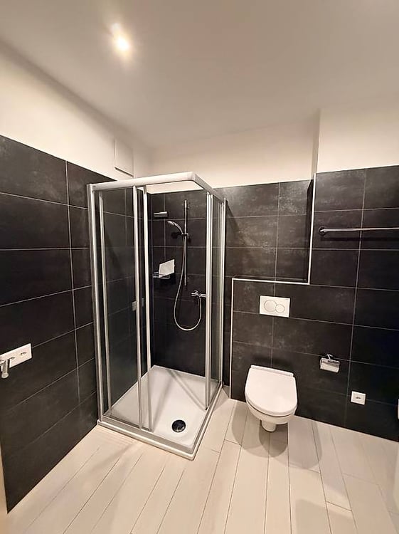 Affittasi appartamento 1.5 locali - CasaEco, Bellinzona 5