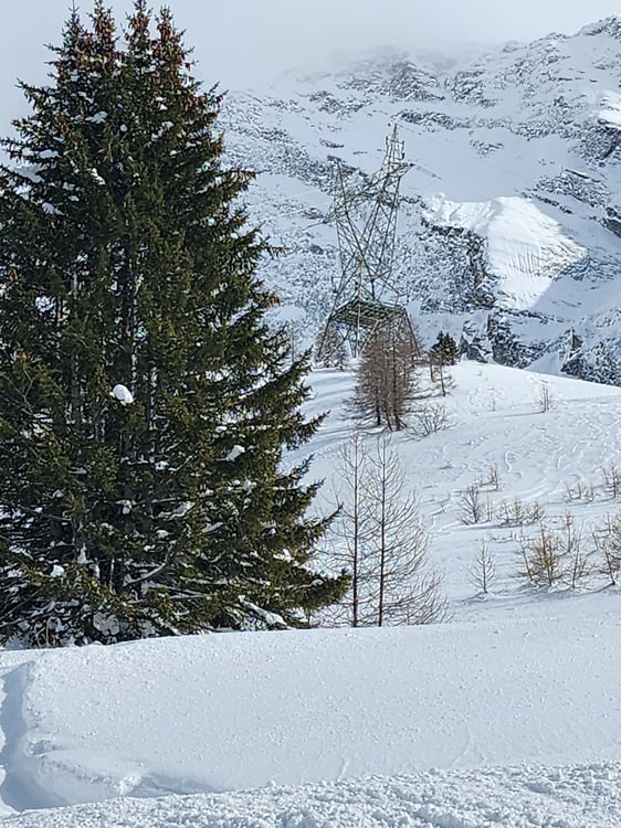 Moderno appartamento 1.5 locali arredato a Roveredo 12