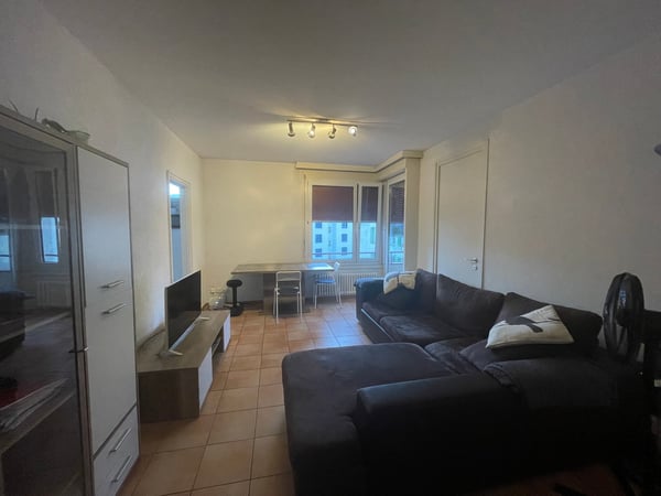 MASSAGNO - 2 locali 7