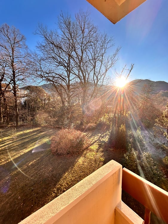 Rinnovato appartamento di 1 locali con vista giardino a Capriasca 2