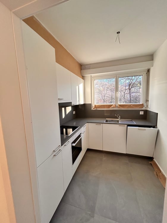 Rinnovato appartamento di 1 locali con vista giardino a Capriasca 1