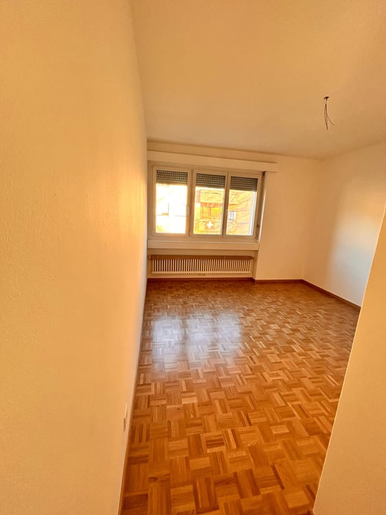 Rinnovato appartamento di 1 locali con vista giardino a Capriasca 4