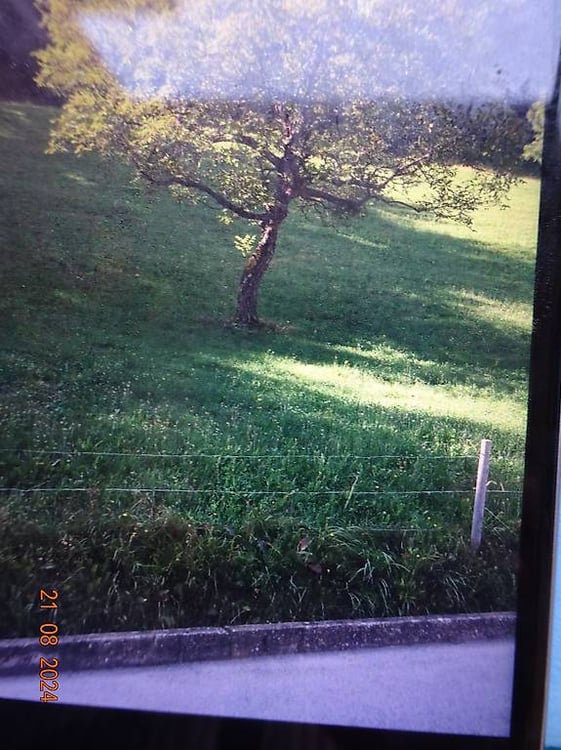 Bel terreno agricolo in ottima posizione 1