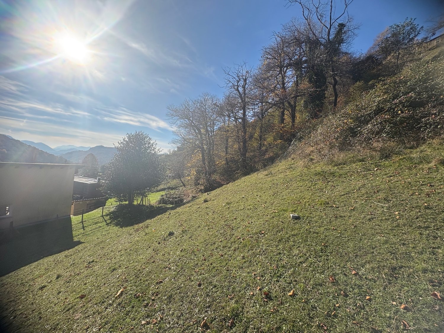 Large grassy slope, trees, building in background, sunny, mountain view, dry leaves