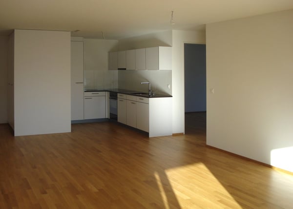 Moderne 1-Zimmer-Wohnung mit Balkon und Garage in Wetzikon 2