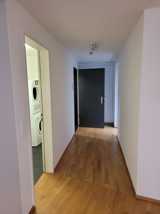 Moderne 1-Zimmer-Wohnung mit Balkon und Garage in Wetzikon 4