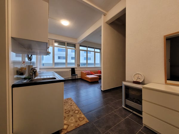 Charmante 2.5-Zimmer-Loft-Wohnung in Menziken 2