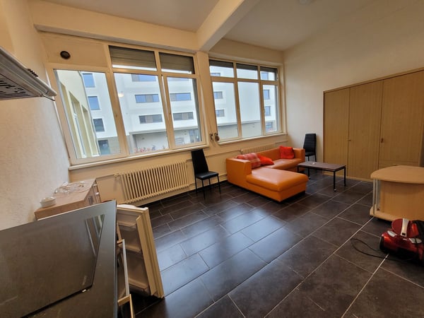 Charmante 2.5-Zimmer-Loft-Wohnung in Menziken 4