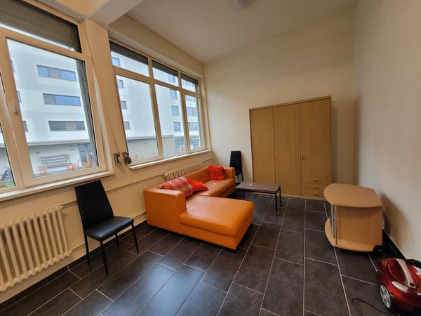 Charmante 2.5-Zimmer-Loft-Wohnung in Menziken 7