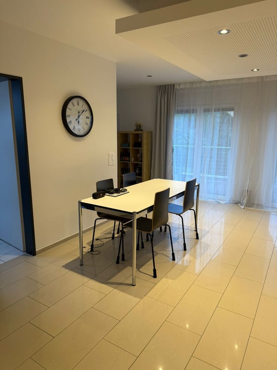 Helle 3.5-Zimmer-Wohnung mit Balkon in Reinach 8