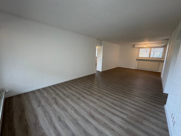 neu renovierte Wohnung, privater Waschturm 17