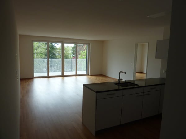 Helle 4.5-Zimmer-Dachwohnung mit Balkon und Aussicht in Wetzikon 3