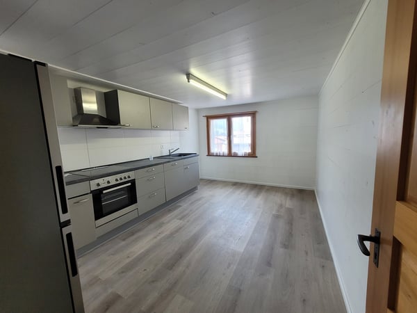 3.5-Zi-Dachwohnung - Estrich gehört dazu 12