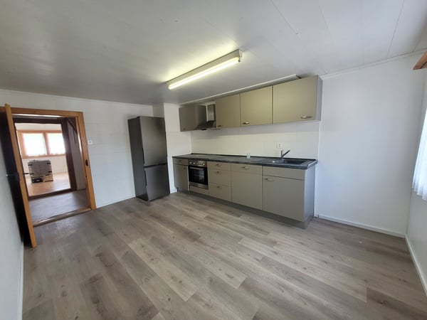 3.5-Zi-Dachwohnung - Estrich gehört dazu 13